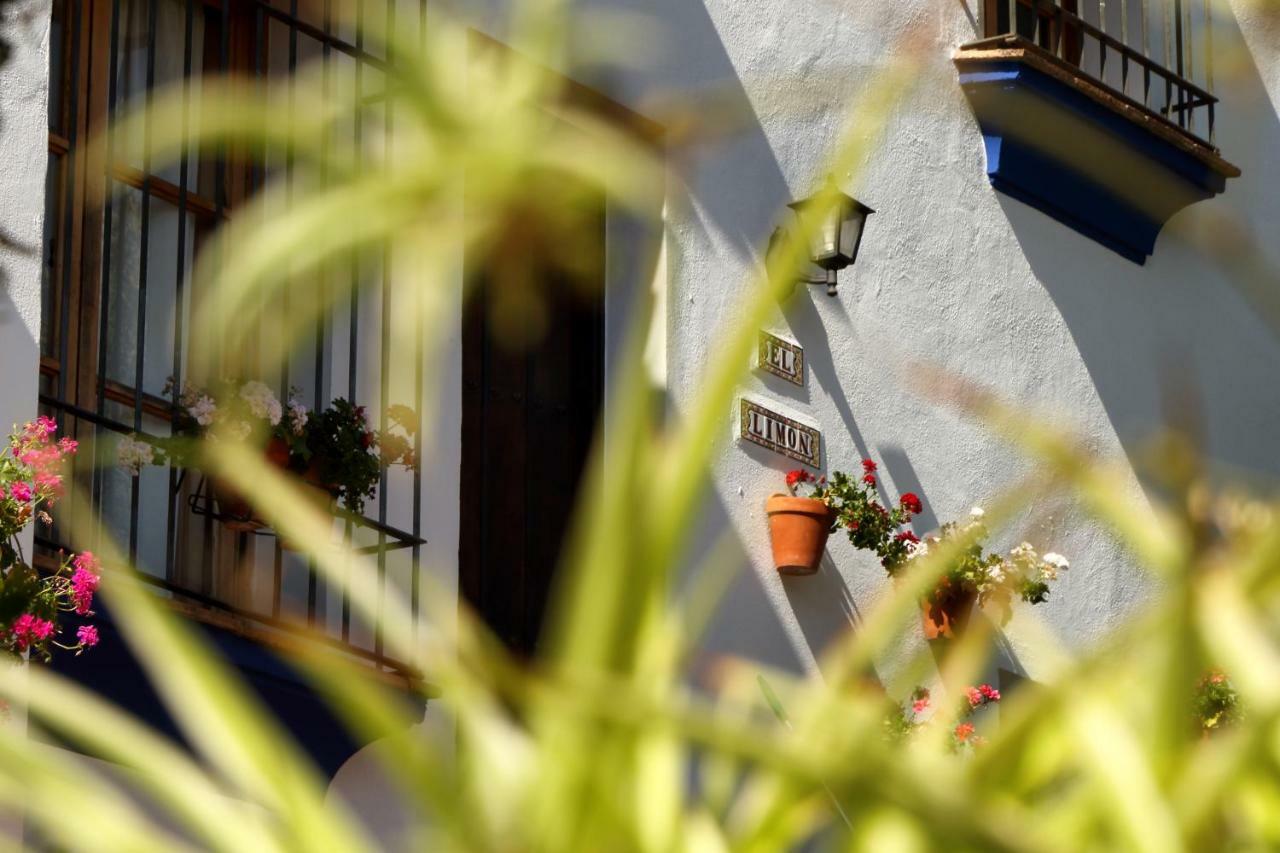 Casitas De La Sierra Villa Montejaque Exterior photo